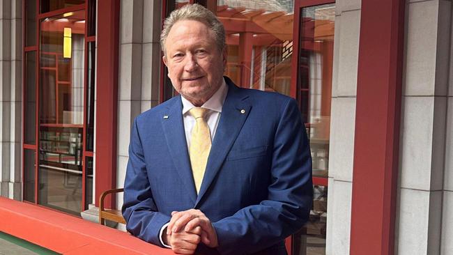 Fortescue executive chairman Andrew Forrest.