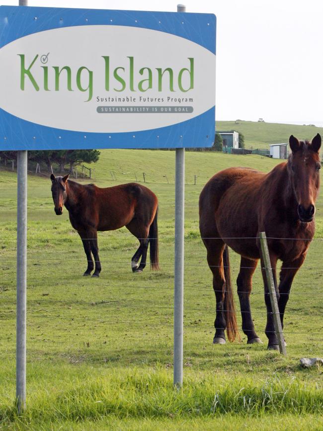 Federal Election 2010, border protection debate, residents of Grassy are lobbying for the Bass Strait community to become a centre for asylum seekers, horses on King Island with a King Island Sustainable Future program sign