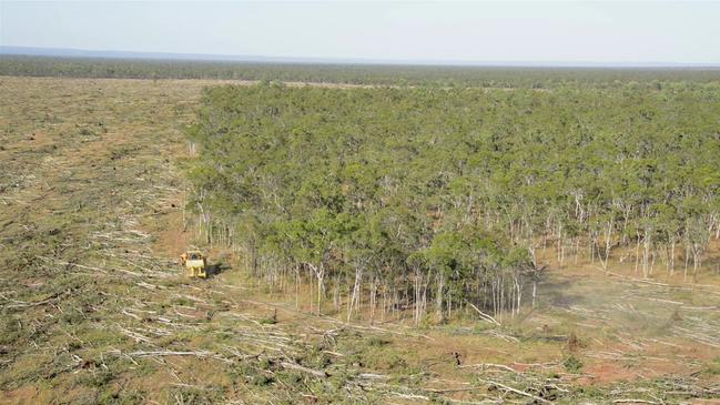 Land clearing has been a hot political topic in Queensland. Picture: Kerry Trapnell / The Wilderness Society