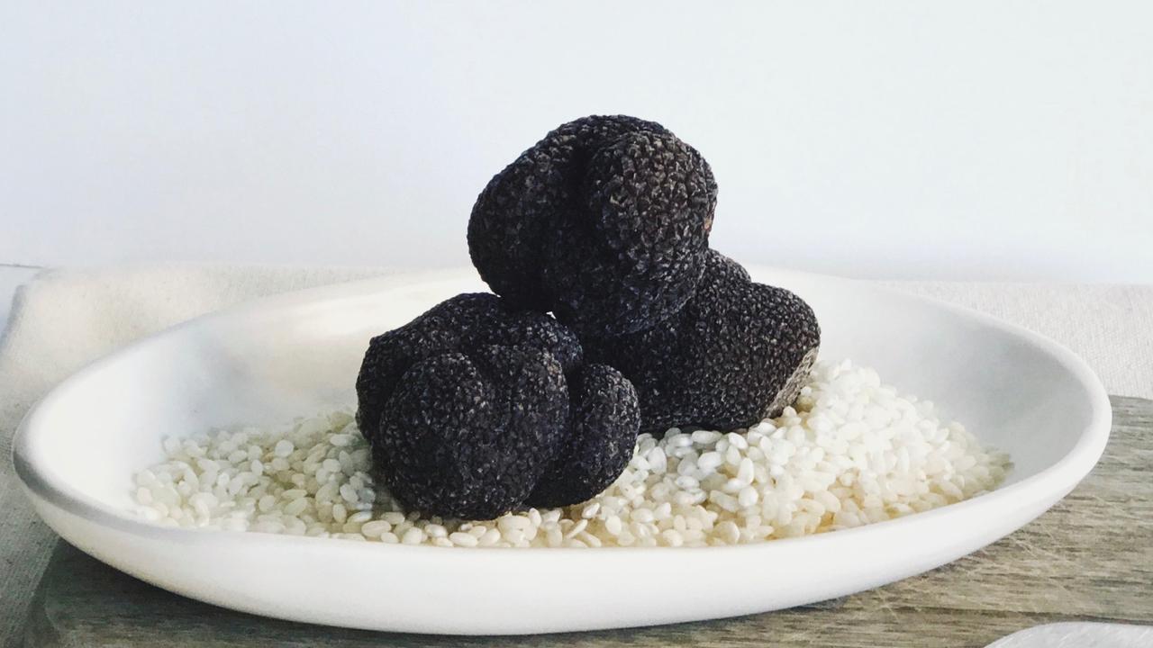 Fresh black winter truffles from Manjimup, WA.