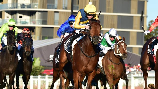 Stefi Magnetica holds off her rivals to win last year’s Stradbroke Handicap. Picture: Grant Peters / Trackside Photography