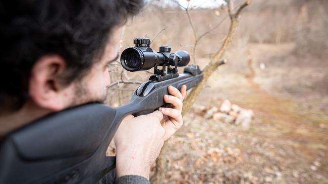 It is proposed the register will give officers the ability to trace firearms from ‘creation to destruction in Australia’.