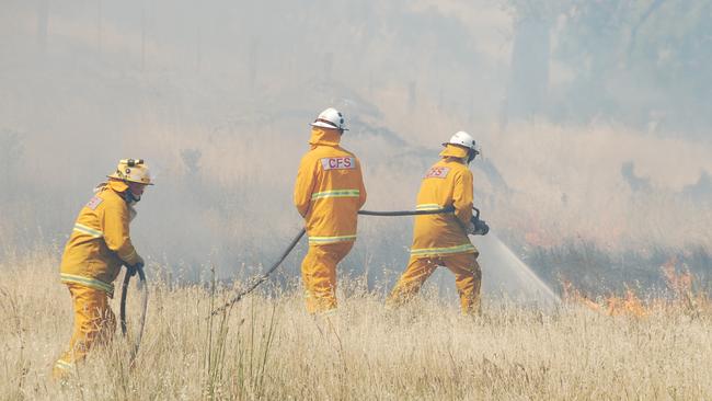 CFS firefighters battling a grass fire. Picture: CFS