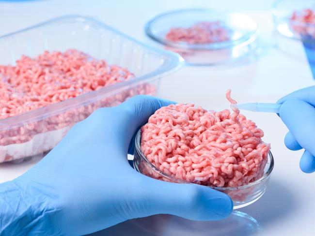 Scientist hands in protective gloves hold petri dish with raw ground meat sample and one small piece in tweezers