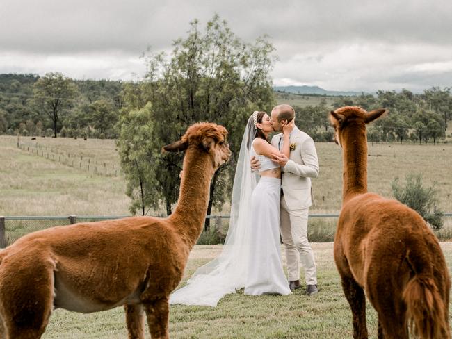 Katre and Alex wedding at Skyline Farm