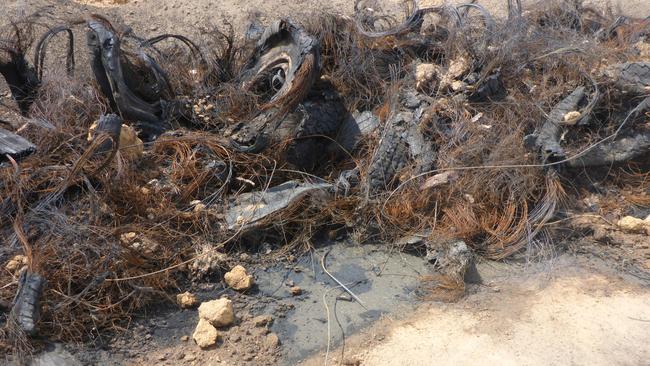 The NT EPA found close to 300 tonnes of old tyres had been illegally stored next to the Katherine Showgrounds. Picture: EPA