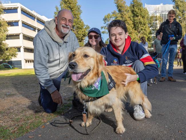 RSPCA SA's Million Paws Walk in Adelaide on May 25, 2025. Picture: Ben Clark