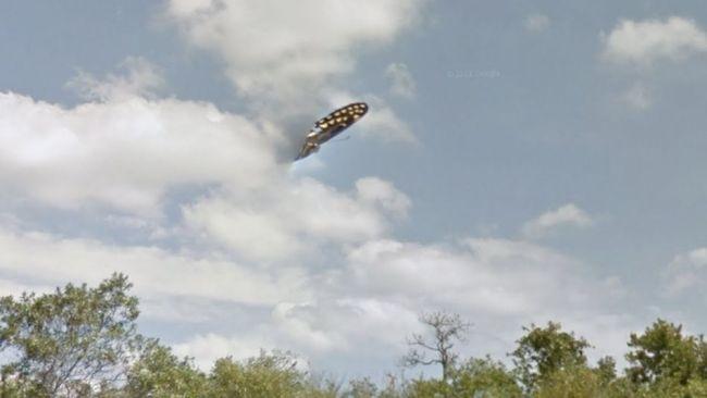 UFO or half a butterfly? You be the judge. Picture: Google