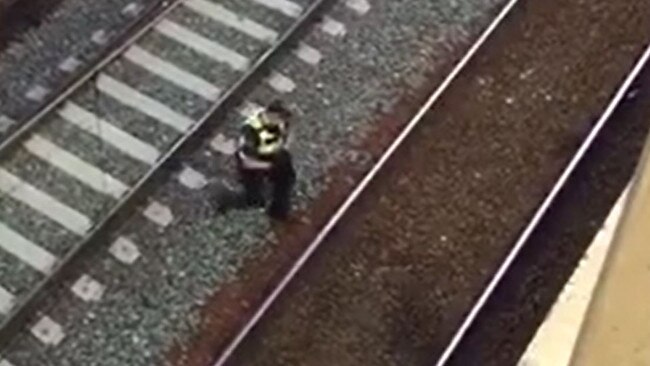 Video shared by 3AW radio shows the moment the cat was collected from the tracks.