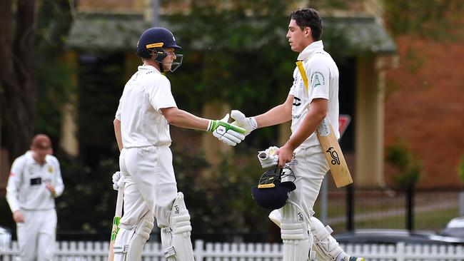 Ipswich batsman Bryce Street and Angus Lovell . Picture, John Gass