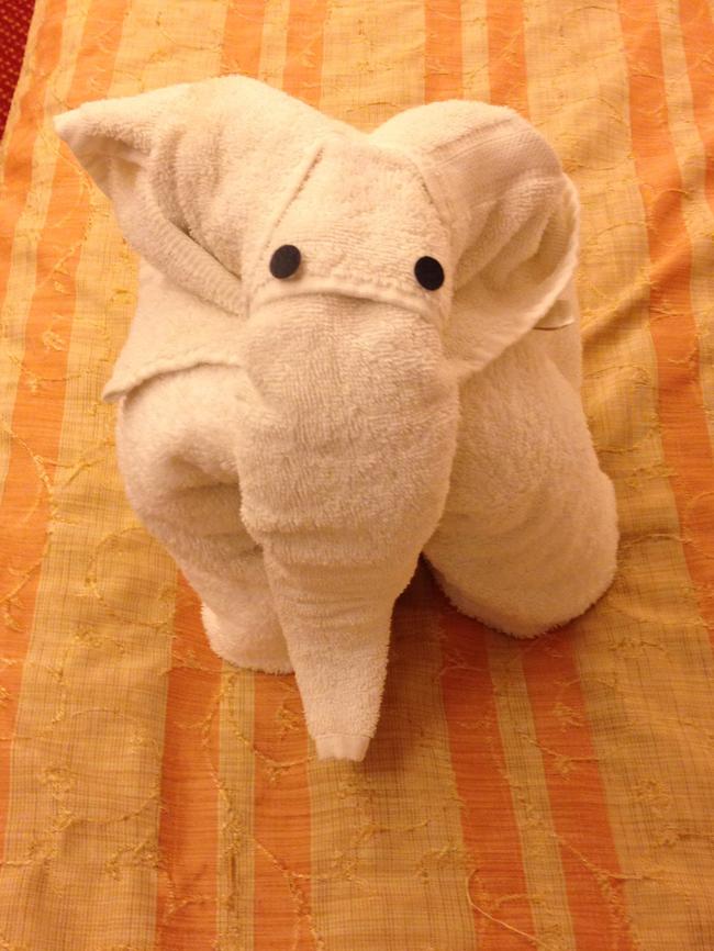 A towel turned elephant.