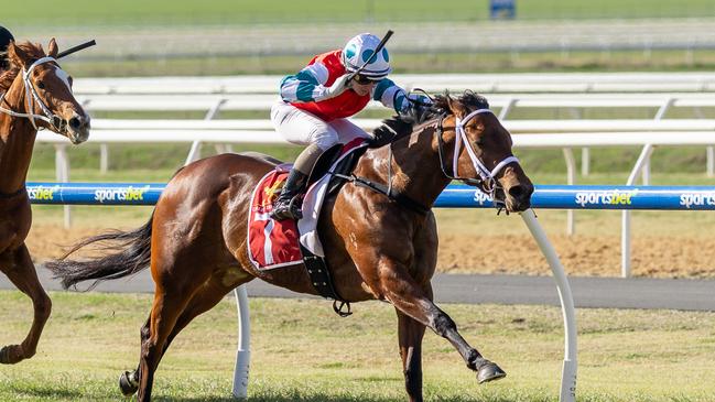 Kayla Crowther guides Falanghina to victory at Murray Bridge on Saturday. Picture: Makoto Kaneko