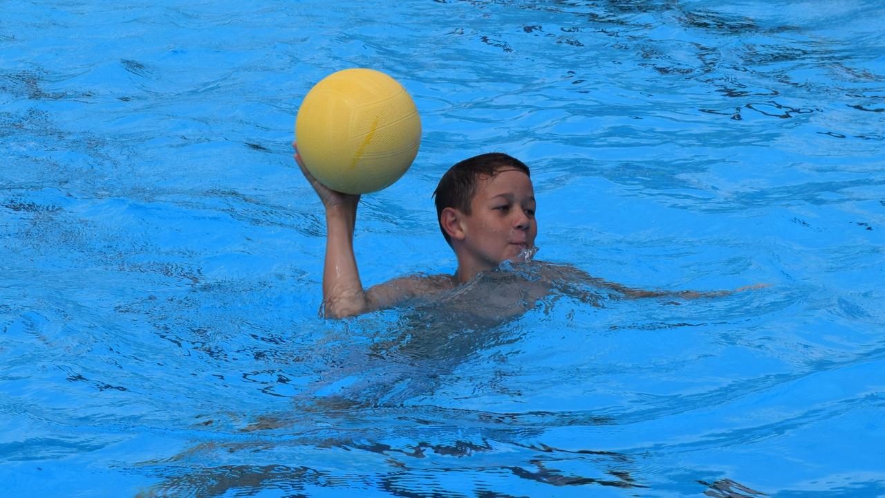 PHOTO GALLERY Kids Water Polo Competition The Courier Mail