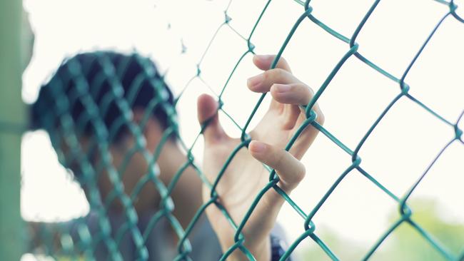 The number of reports of suspected child abuse and neglect has reached ‘unsustainable levels’, a leading child welfare expert warns.