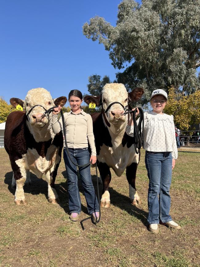 Elle, 11, and Emma, 9, Davies, from Wild Bear Herefords at Meadows, South Australia, with the family's bulls which sold for $16,000 and $14,000 at the Herefords Australia national show and sale at Wodonga.