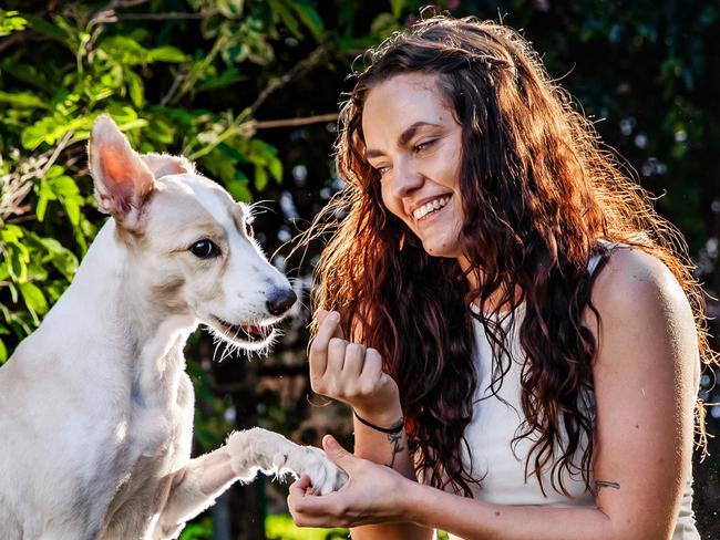 Ticks - Brisbane has been identified as one of three QLD locations (also Noosa/Sunshine Coast and Gold Coast) within AustraliaÃs Top Parasite Hotspots Ã at extreme level.Danielle Pommer with her dog Charlie that had a tick and survived.Picture: Nigel Hallett