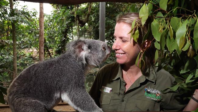 General Manager Clare Hunt secures the animals at Port Douglas Wildlife Habitat before the arrival of TC Jasper. Picture: Liam Kidston