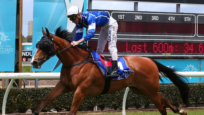 Desmon's Pride won the Class 4 Handicap (1400m) at the Gold Coast on November 11. Picture: Mike Batterham.