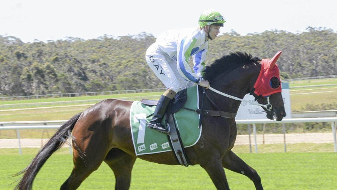 Trainer Luke Pepper is chasing victory in the Wagga Gold Cup with Helluva Soiree. Picture: Bradley Photos