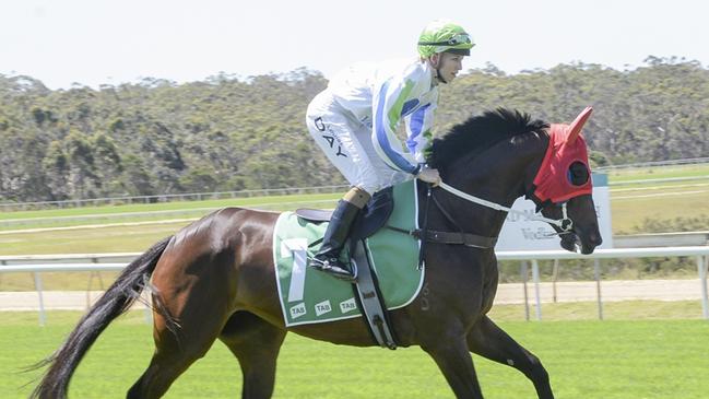 Trainer Luke Pepper is chasing victory in the Wagga Gold Cup with Helluva Soiree. Picture: Bradley Photos