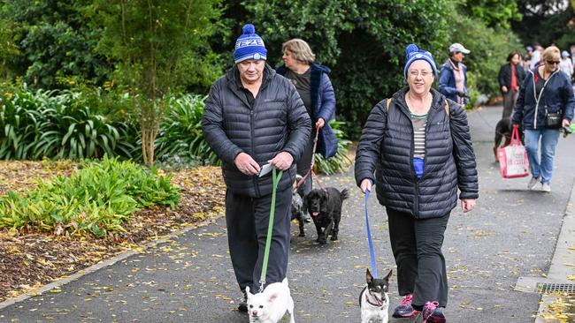 Million Paws Walk at Adelaide Botanic Gardens. Picture: Brenton Edwards