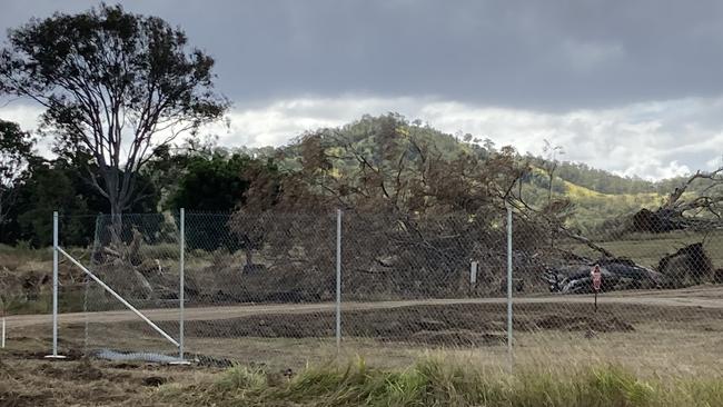 Workers have begun clearing land opposite the Woolooga substation off the Wide Bay Highway, for the 210 Megawatt farm.