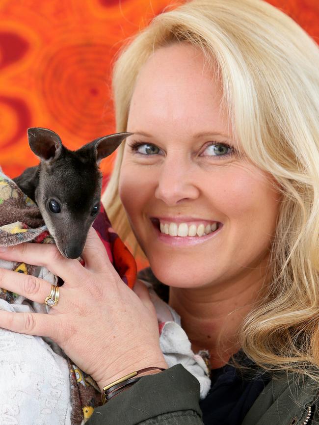 Sydney Wildlife volunteer Lynleigh Greig with Kori the Swamp Wallaby, who was rescued from the pouch of his dead mother, who was hit by a car at Terrey Hills.