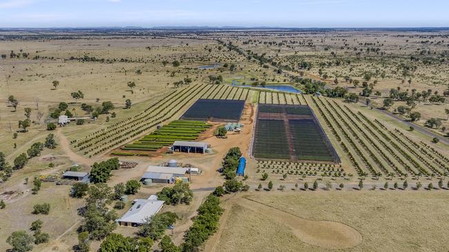 The Zadro family have sold their Gemfields portfolio, located near Emerald in central Queensland.