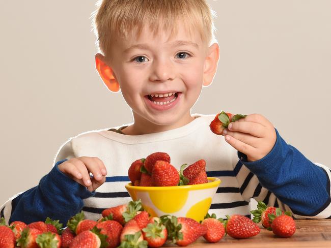 Jasper, 4, tucks into some strawberries, which are set to become a rare fruity treat. Picture: Lawrence Pinder