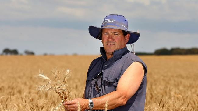 Graeme McCrow is a cropper from Westmere. pictured in a paddock of WheatPicture: ANDY ROGERS