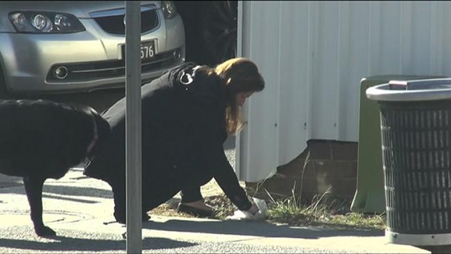 Screengrab of footage showing a Emma Husar staff member taking Husar's dog for a walk. Picture: Seven News