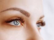 Eyelash Extension Procedure. Woman Eye with Long Eyelashes. Lashes. Close up, macro, selective focus