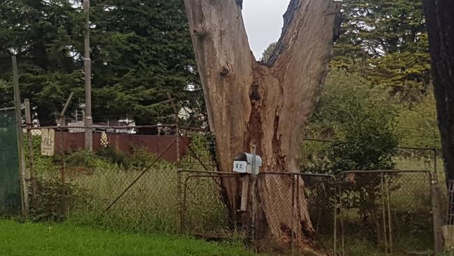 Changes are afoot in North Katoomba. Picture: Isabell Petrinic