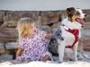 Keeping track of your pet’s fitness