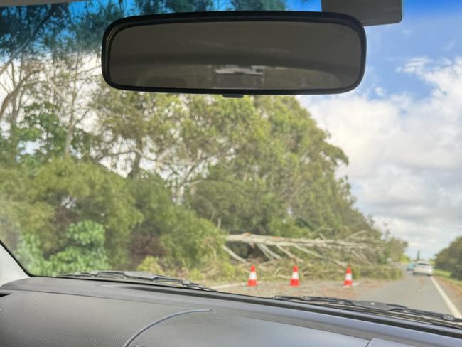 A second tree blocking the left lane of Bundall road northbound between Varsity Lakes and Mermaid Waters. Picture: Amaani Siddeek