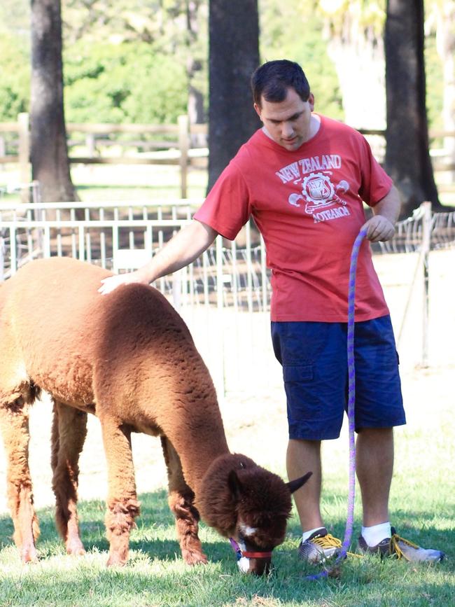 Caring for the alpacas instils a sense of responsibility in those with a disability.