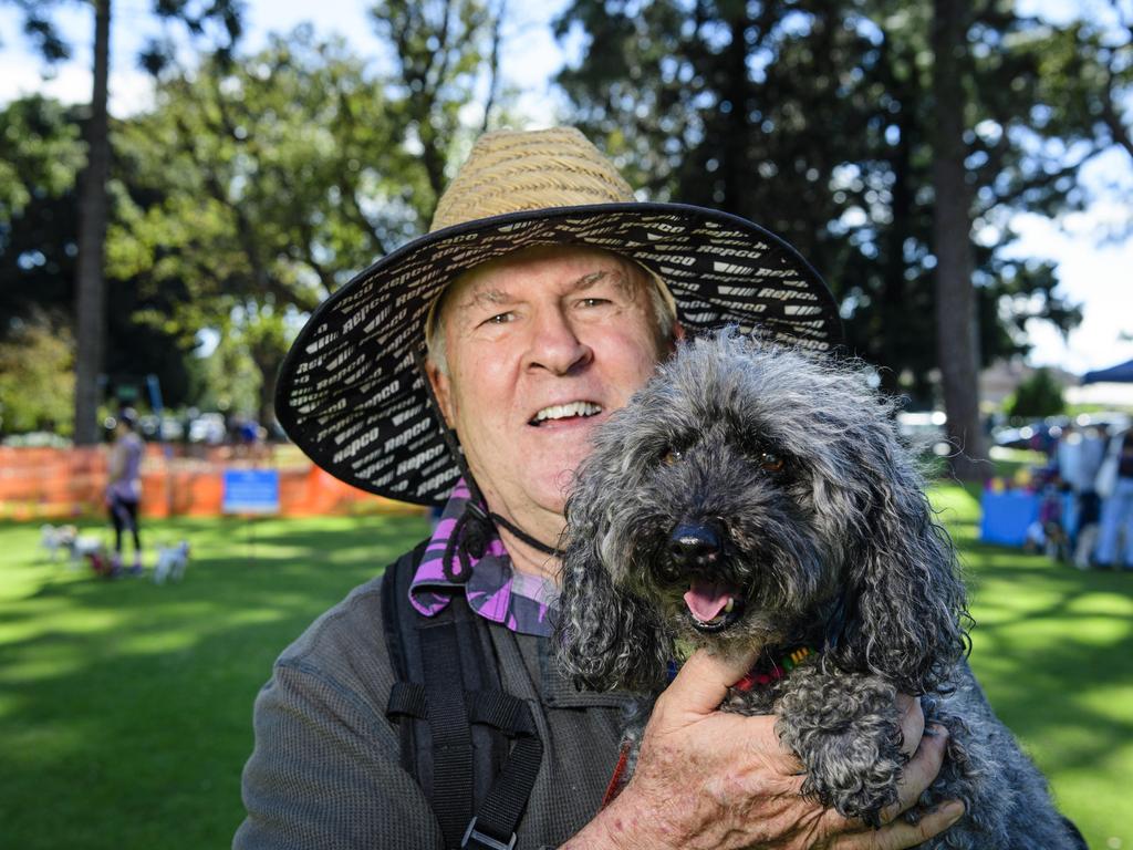 Bill Fairweather with Scampie at the Million Paws Walk in Queens Park, Sunday, May 25, 2025. Picture: Kevin Farmer