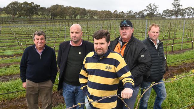 Malcolm Scroop, Bird in Hand winery founder Andrew Nugent, Jim Franklin-McEvoy, Malcolm Parker and Simon Tolley are all landholders near the proposed mine site. Pic: Tricia Watkinson