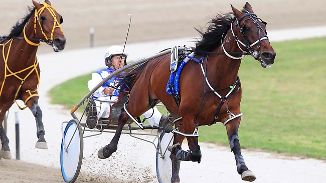 Robert Caruso targets Melton claimer with the smart Soul Tana