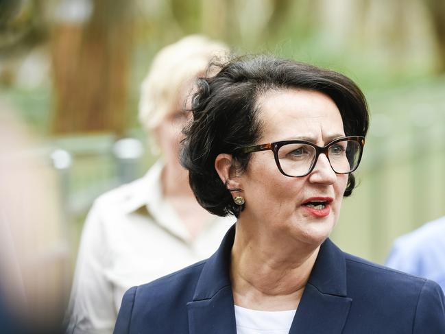 Attorney-General Vickie Chapman speaks to the media during a press conference at Cleland Wild Life Sanctuary, Monday, February 3, 2020. (AAP Image/Roy VanDerVegt) NO ARCHIVING