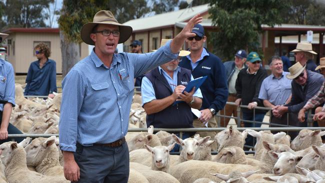 Nutrien auctioneer, Nick Byrne.