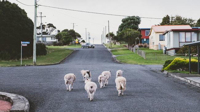 Visitors to King Island get a taste of the slow life. Picture: Stu Gibson/Tourism Tasmania