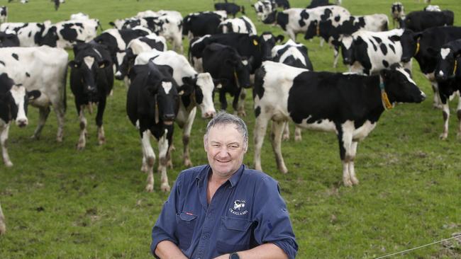 United Diaryfarmers of Victoria president Mark Billing on his Larpent farm. Picture: Yuri Kouzmin