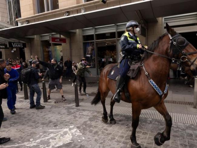 Pot plants were allegedly thrown at mounted police officers during an unauthorised protest at the weekend. Source NSW Police