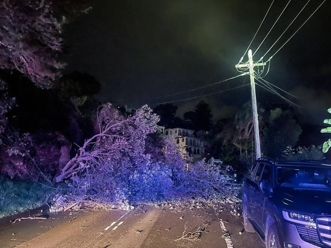 A tree has taken down powerlines in Clontarf, with residents urged to keep away. Picture: Facebook