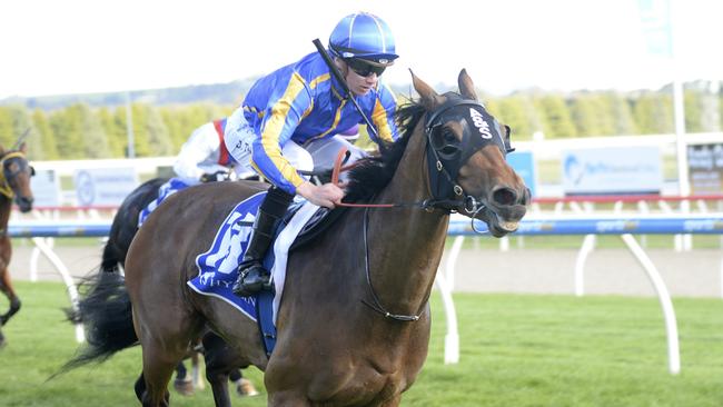 Perfect World won by a space at Ballarat first-up. Picture: Racing Photos via Getty Images