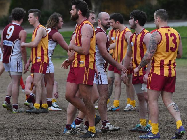 2016 was a tough year for the Nunawading Lions. Picture: Tony Gough