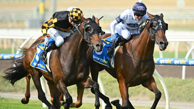 Grand Pierro (left) and Goldman, pictured fighting out the finish of the Pakenham Cup, will again go head-to-head in the Bagot at Flemington on Wednesday. Picture: Vince Caligiuri / Getty Images