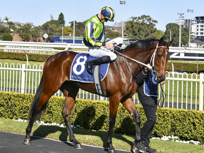 Kind Words can land her first win at Hawkesbury on Thursday. Picture: Bradley Photos