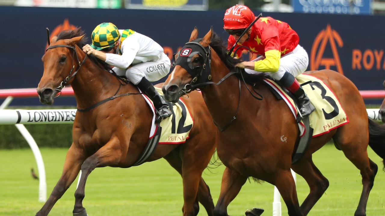 Kundalini (left) finishes second to Don Corleone on debut at Randwick. Picture: Getty Images